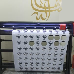 Plotter Cutting